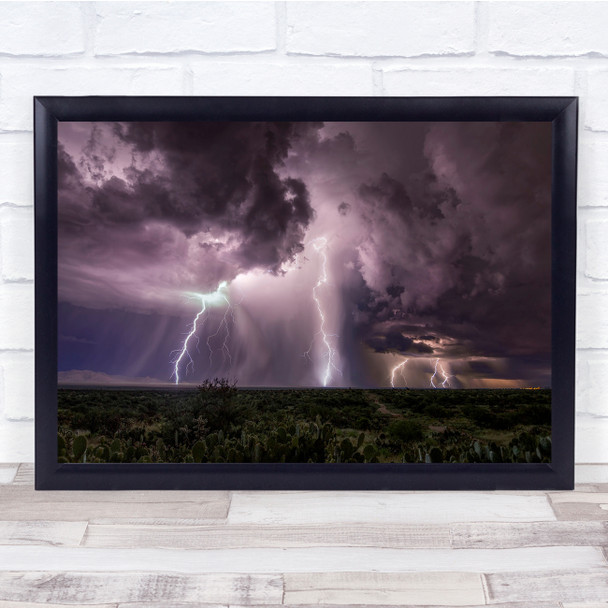 Prickly Pear Cactus Sonoran Desert Arizona Thunder storm lightning Summer Print