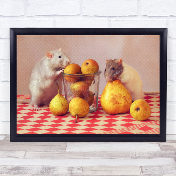 Animal Animals Rat Rats Mice Mouse Rodent Pet Pets Pear Pears Wall Art Print
