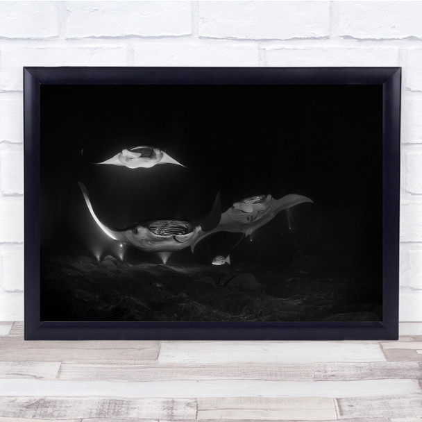 Black & White Abstract Underwater Sea Life Stingray Landscape Wall Art Print