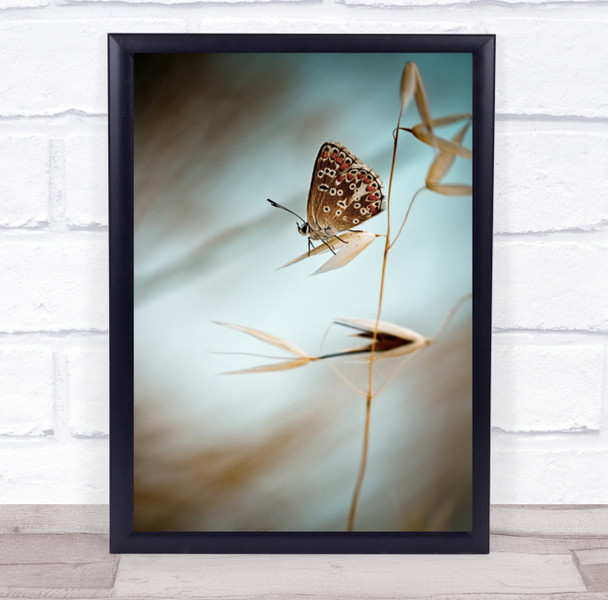 Butterfly Macro Insect Bokeh Brown Autumn Fall Grass Dream In Wall Art Print