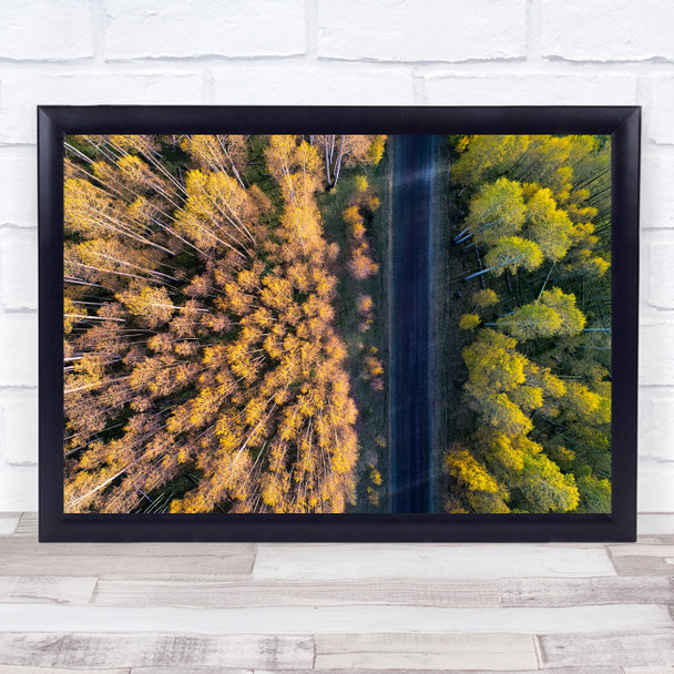 Colorado Road Drone Autumn Fall Yellowandgreen Contrast Trees Wall Art Print