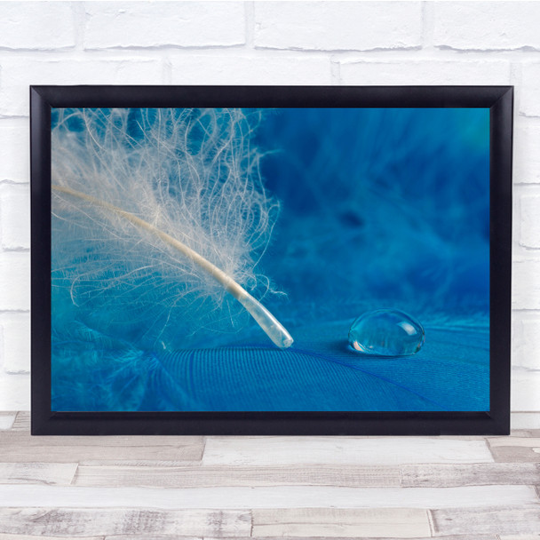 Drop Water Macro Feather Feathers Blue Droplet Droplets Drops Wall Art Print
