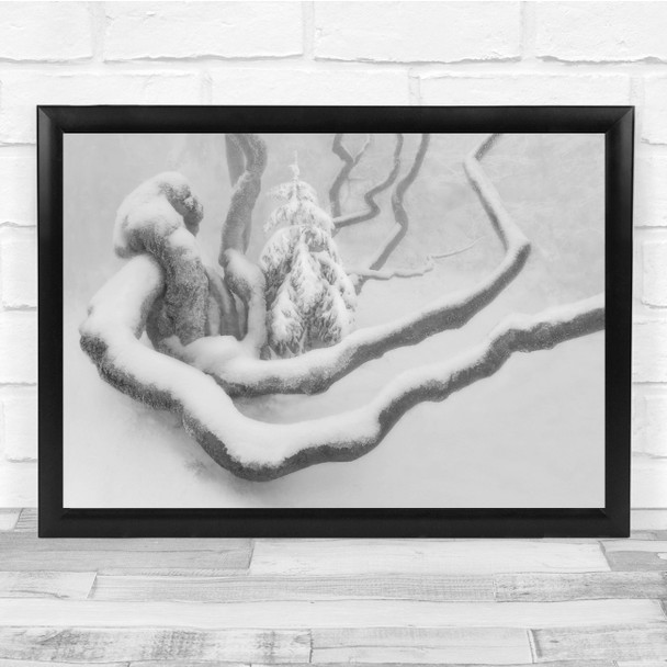 Landscape Landscapes Snow Winter Cold Tree Lonely Black & White Black Print