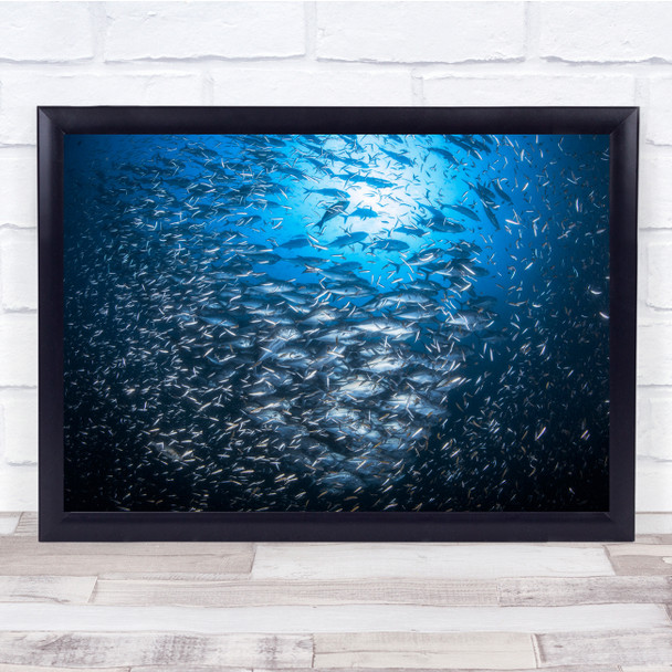 Andaman Sea Banc De Poisson Carangue Fusillier Glassfish Mer Wall Art Print