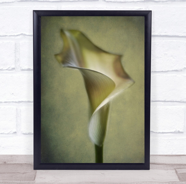 Macro Flower Denmark Filter Calla Lily Flowers Texture Still Wall Art Print