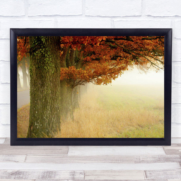 Oaks Autumn Fog Mist Oak Trees Tree Trunks Rural Countryside Wall Art Print