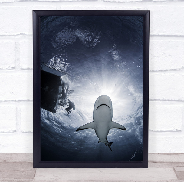 Shark Dive Diver Perspective Toned Light Rays Surface Diving Wall Art Print