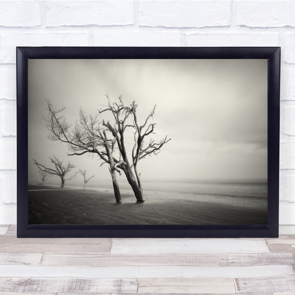 Tree Trees Black & White Landscape Beach Water Sea Ocean Sand Shore Coast Print