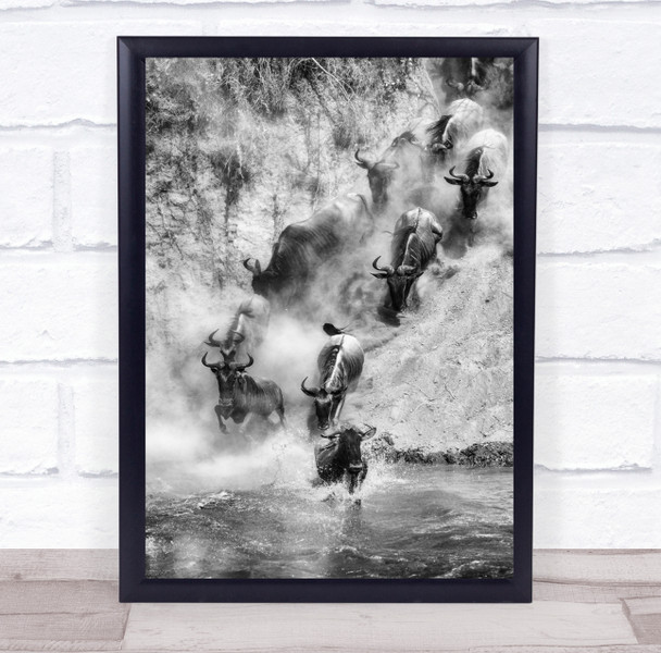 Wildlife Wild Nature Animal Animals Action Black & White Africa Migration Print