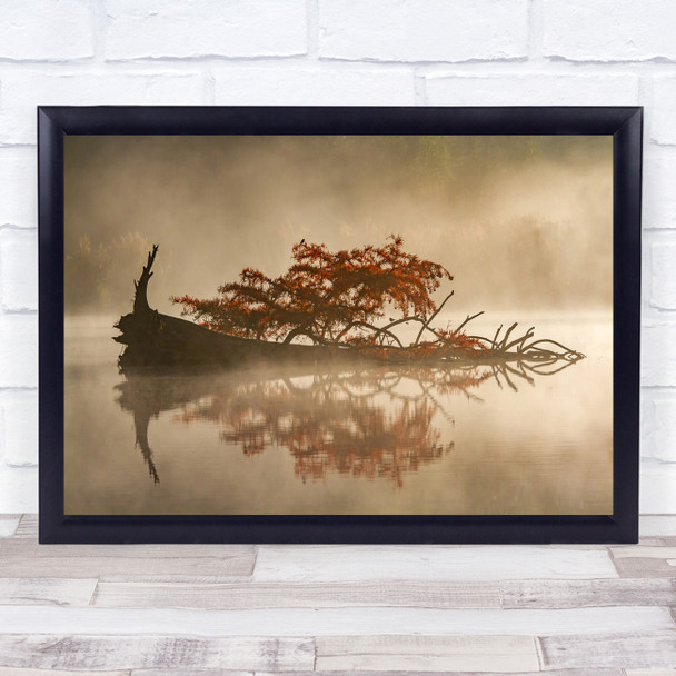 Autumn Trees Fly Morning Dawn Sunrise Water Boat Birds Haze Rose Wall Art Print