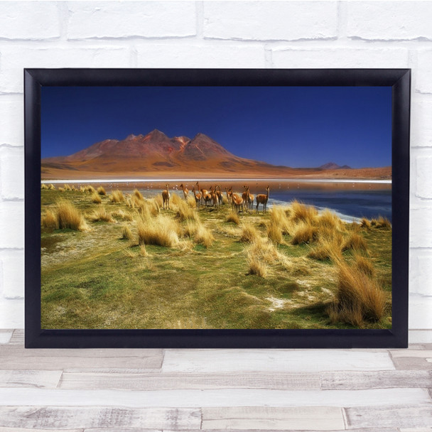 Bolivia Sajama Mountain Landscape Lagoon Panorama Panoramic Wild Wall Art Print