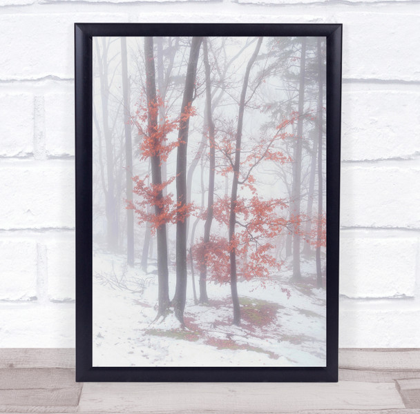 Landscape Fog Mist Haze Foggy Winter Snow Cold Leaves Leaf Trees Wall Art Print