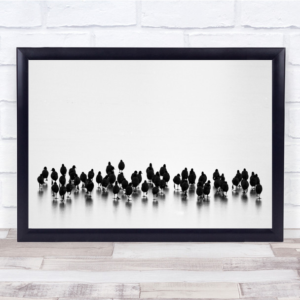 Contrast Birds Black & White Water Flock Graphic Crowded Tight Many High Print