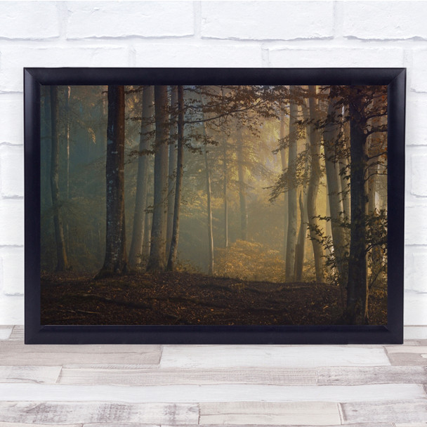 Autumn Fog Morning Forest October Panorama Trees Landscape Mist Wall Art Print