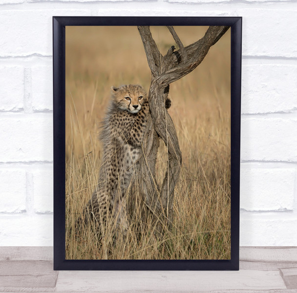 Cheetah Cubs Masai_Mara Mara Kenya Africa Grass Cub Cheetah_Cub Wall Art Print