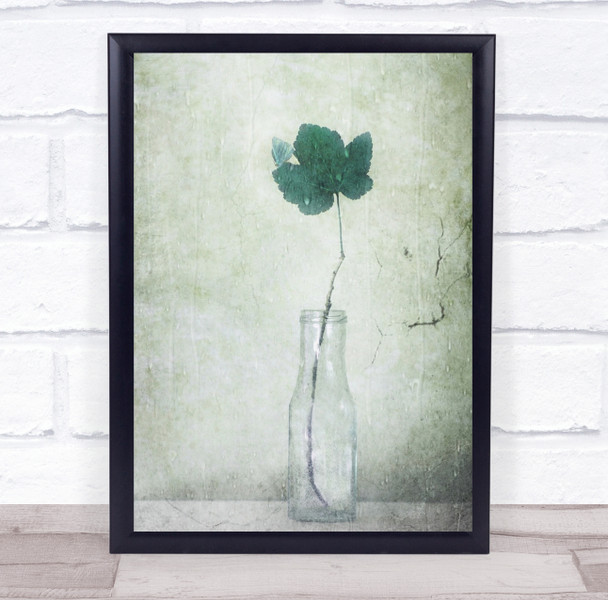 Green Leaf Leaves Bottle Bottles Texture Drops Water Still Life Wall Art Print