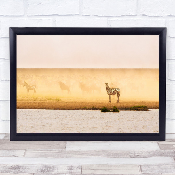 Panorama Zebra Zebras Africa River Water Safari Dust Flock Herd Wall Art Print