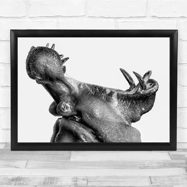 Landscape Hippo Animal Animals Africa Botswana Monochrome No Background Print