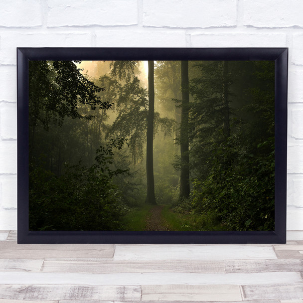 Denmark Jutland Forest Skive Tree Trees Green Path Trail Woods Wall Art Print