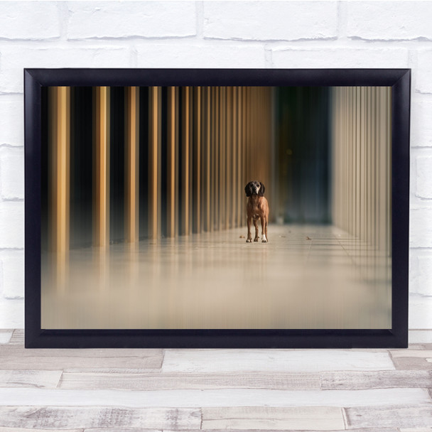 Dogs Urban dogs Citydogs Animals Creative Moody Lines Geometry Wall Art Print