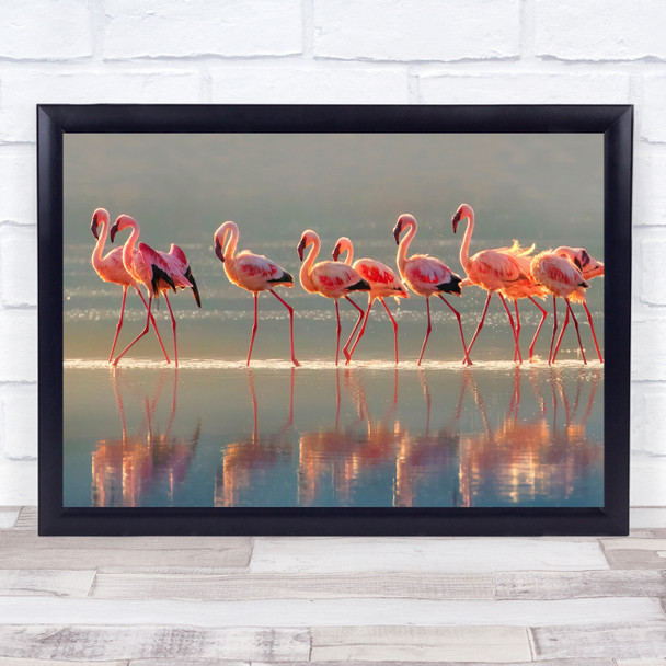 Flamingo Water Flamingos Group Fock Birds Wildlife Wild Nature Wall Art Print