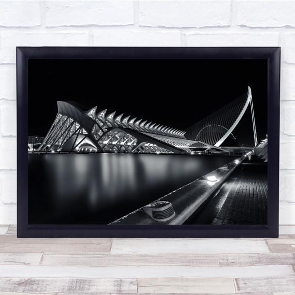 Architecture Santiago Calatrava Modern Spine Skeleton Night Wall Art Print