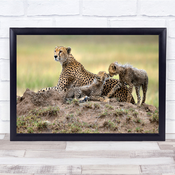 Serengeti Landscape Africa Sunset Wild Nature Tanzania Tree Wall Art Print