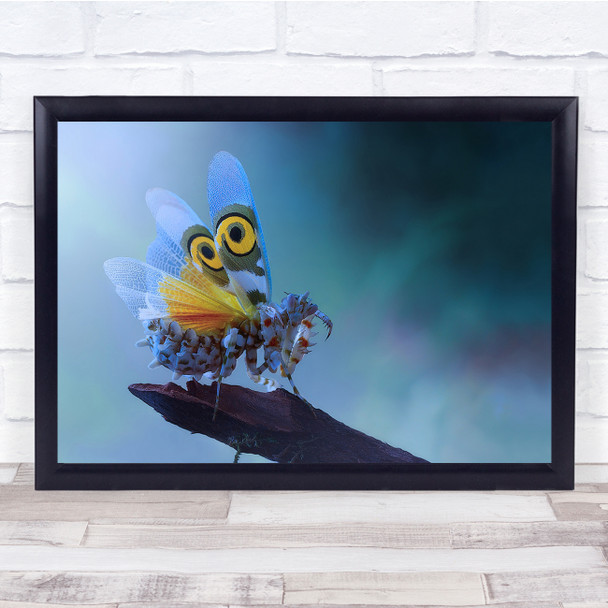 Landscape Mantis Macro Bokeh Insect Bug Colourful Creature Wall Art Print