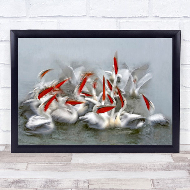 Pelicans Wold Greece Lake Kerkini Bird Long Exposure Fight Wall Art Print