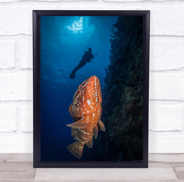 Swim With Grouper large orange fish underwater scuba diver Wall Art Print