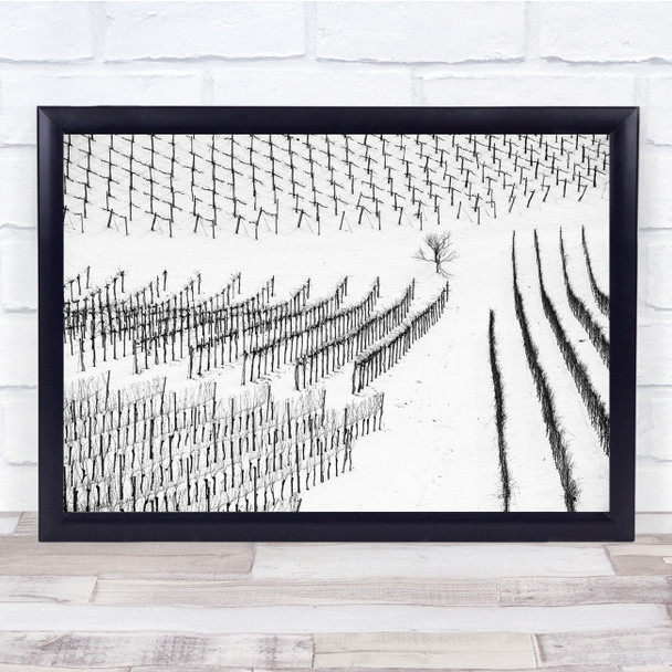 Landscape Plantation Lines Graphic Black & White Winter Snow Snowy Print