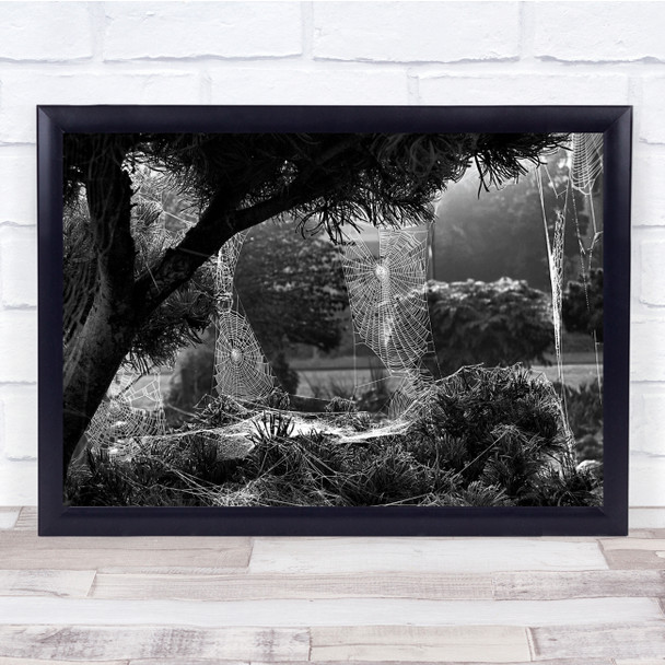 Web Spiders Garden Netherlands Spider Black & White Landscape Tree Print