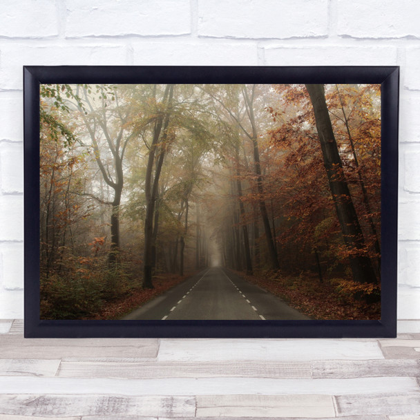 Autumn Forest Reflection Fog Trees Morning Mood Road Fall Wall Art Print