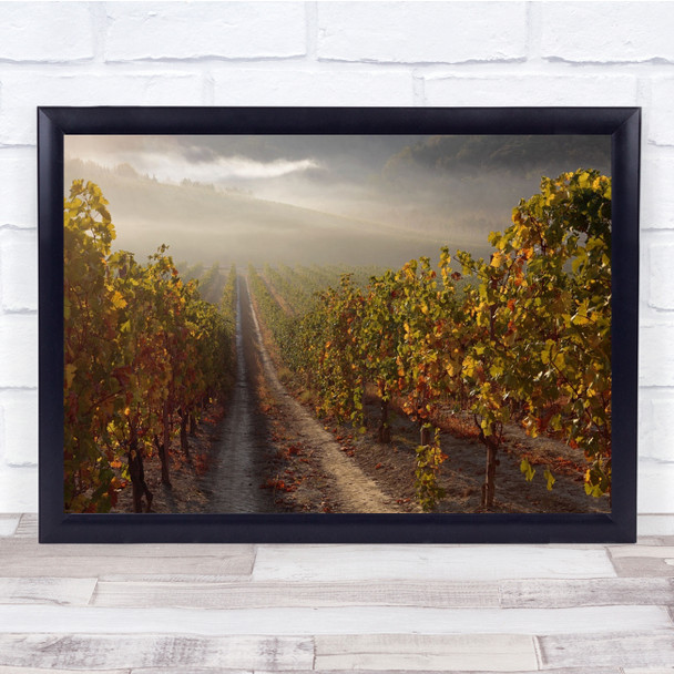 Morning Fog Wineyard Piemonte Wine Grapes Plantation Dawn Wall Art Print