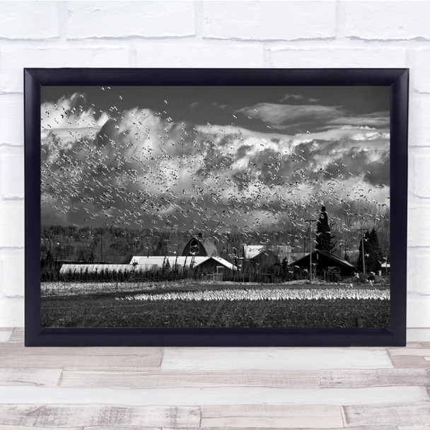 Panorama Birds Landscape Farm Farming Flock Chaos Chaotic Wall Art Print