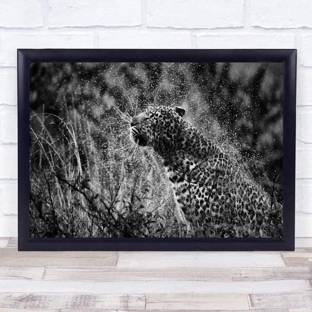 Splashed Wildlife leopard animal wildlife black and white Wall Art Print