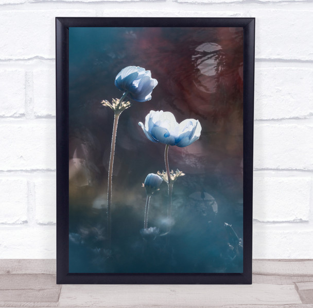 Macro Flower Flowers Flora Floral Botanical Bokeh Garden Wall Art Print