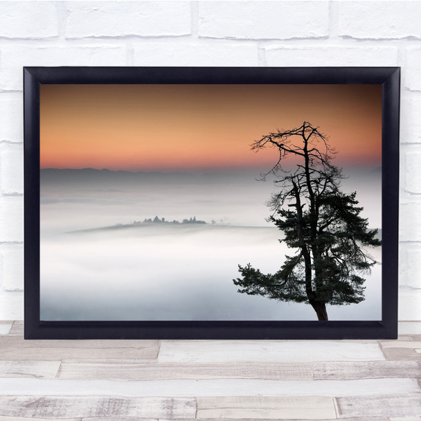 Tree Fog Slovakia Liptovsky Mikulas Haze Twilight Smooth Wall Art Print