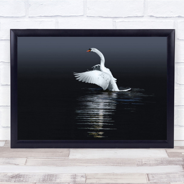 Bird Fly Blue Swan Water Reflection Belgium Ready To Go Wall Art Print