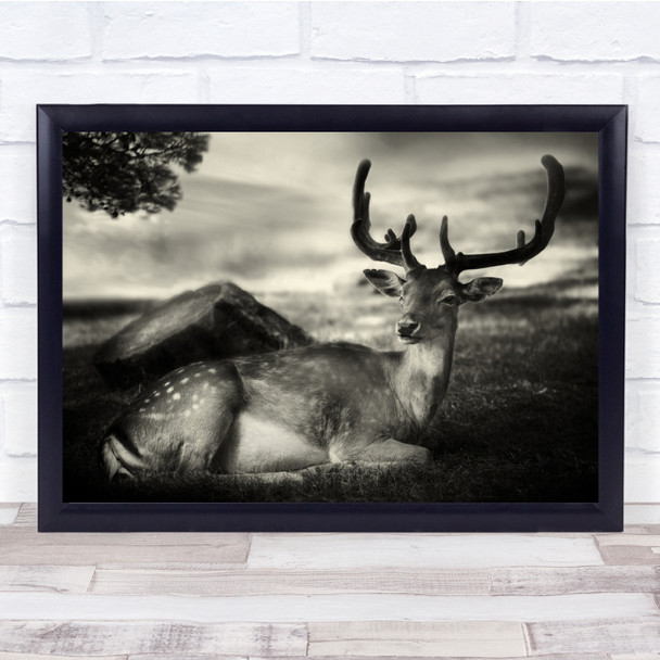 Deer Nature Wild Animal Park Forest Tree Resting Sephia Wall Art Print