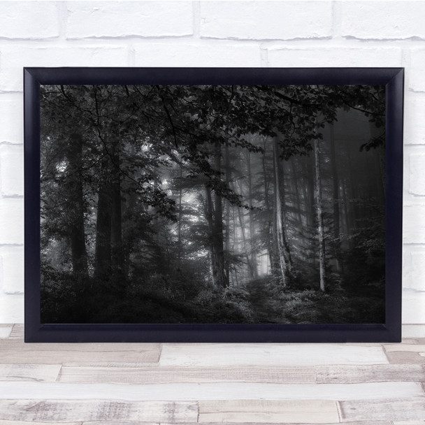 Forest Atmosphere Trees Landscape Mystery Black & White Wall Art Print