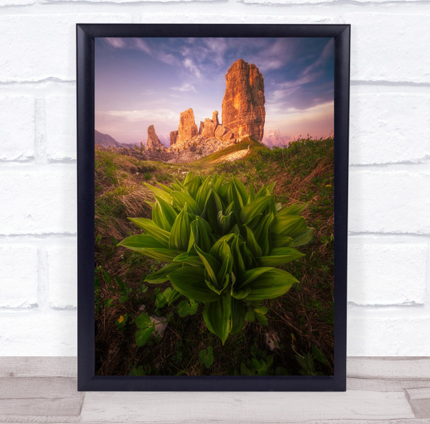 Rocks Plant Grassland Sunset Dolomiti Alps Cinque Torri Wall Art Print