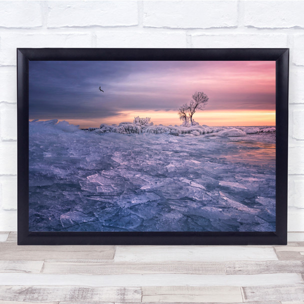 Ice Landscape Bird Frost Frozen Winter Cold Tree Lonely Season Wall Art Print