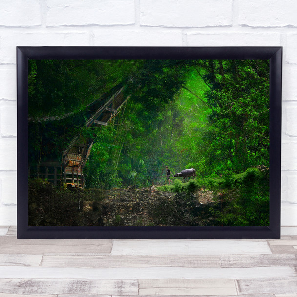 Jungle Person Cabin Foliage Vegetation Indonesia Cattle Animal Wall Art Print