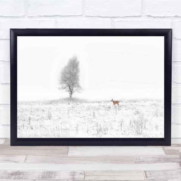 Panorama Deer Roe Animal Animals Tree Lonely Winter Snow Frost Wall Art Print