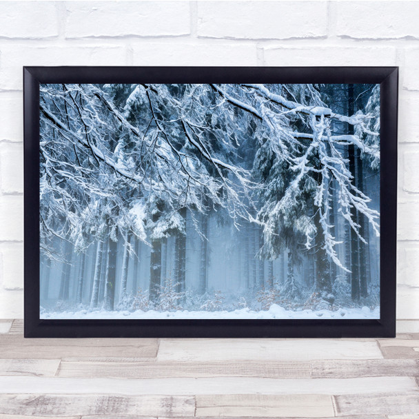 Winter Snow Belgium Ardennes Trees Tree Blue Fog Trunks Forest Wall Art Print