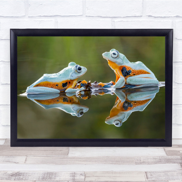 Frogs Animals Water Reflection Macro Wall Art Print