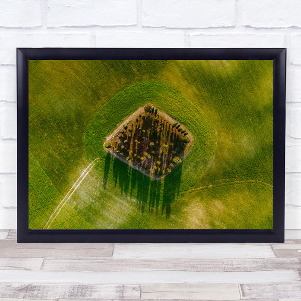 Bird Eye View Field Trees Grass Wall Art Print