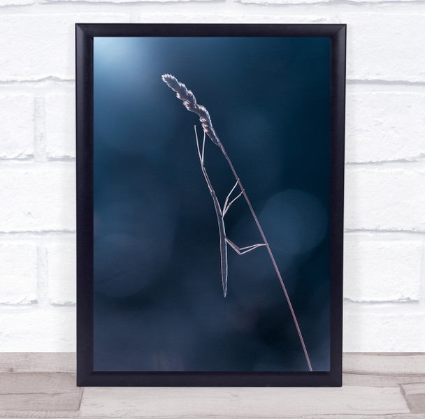 Mimetism stick insect on reed Wall Art Print