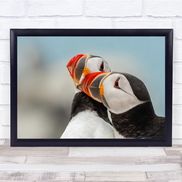 Wildlife Birds Puffins Nature Wall Art Print